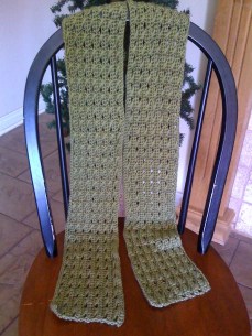 DC with a Twist Scarf