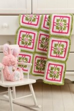 Watermelon Parfait Baby Blanket